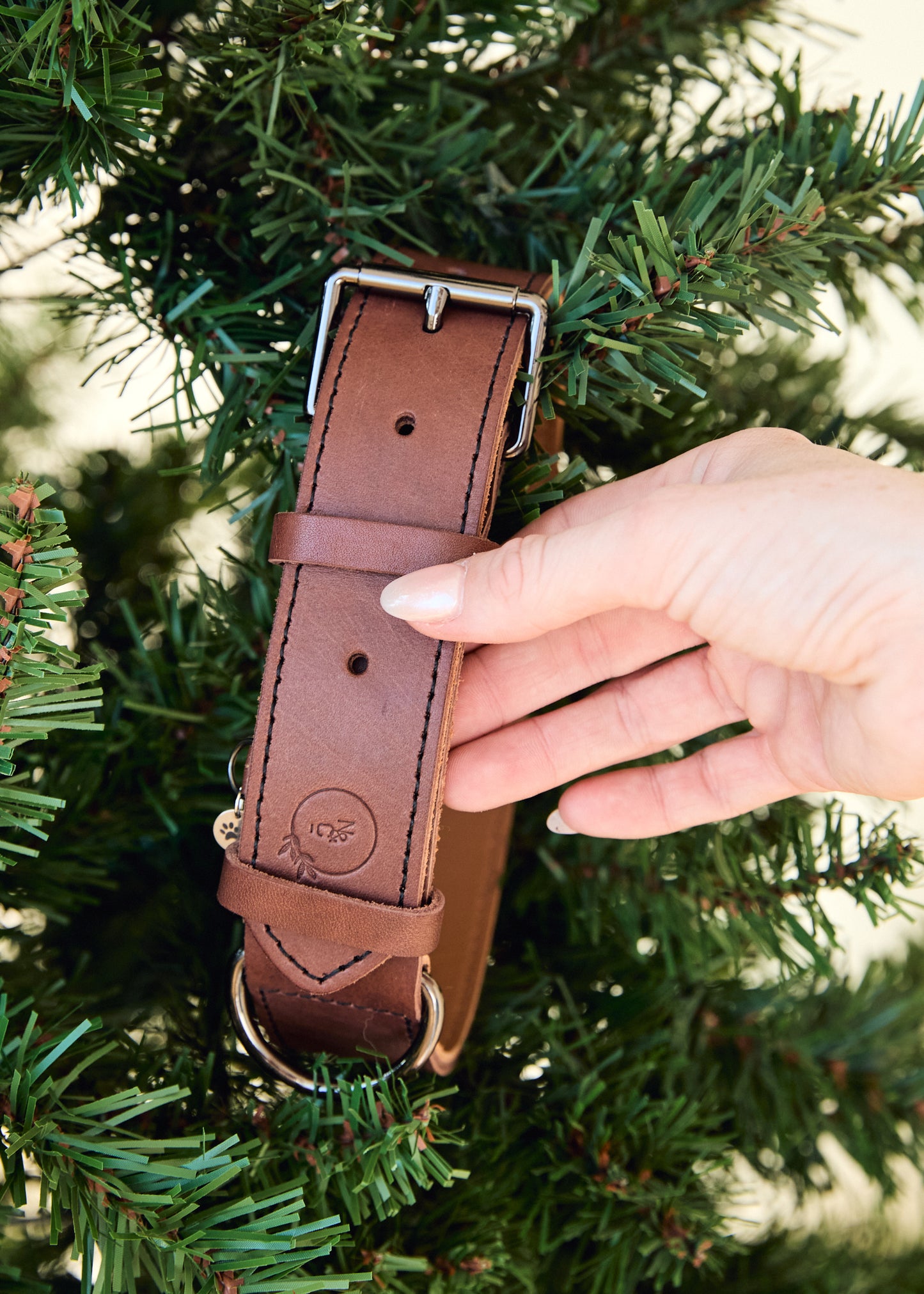 Leather Dog Collar