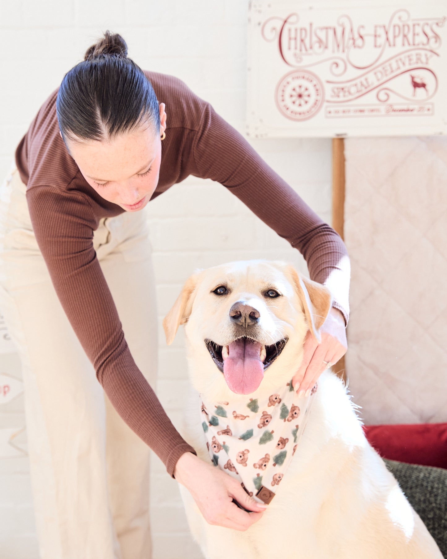 Bear-y Merry Dog Bandana