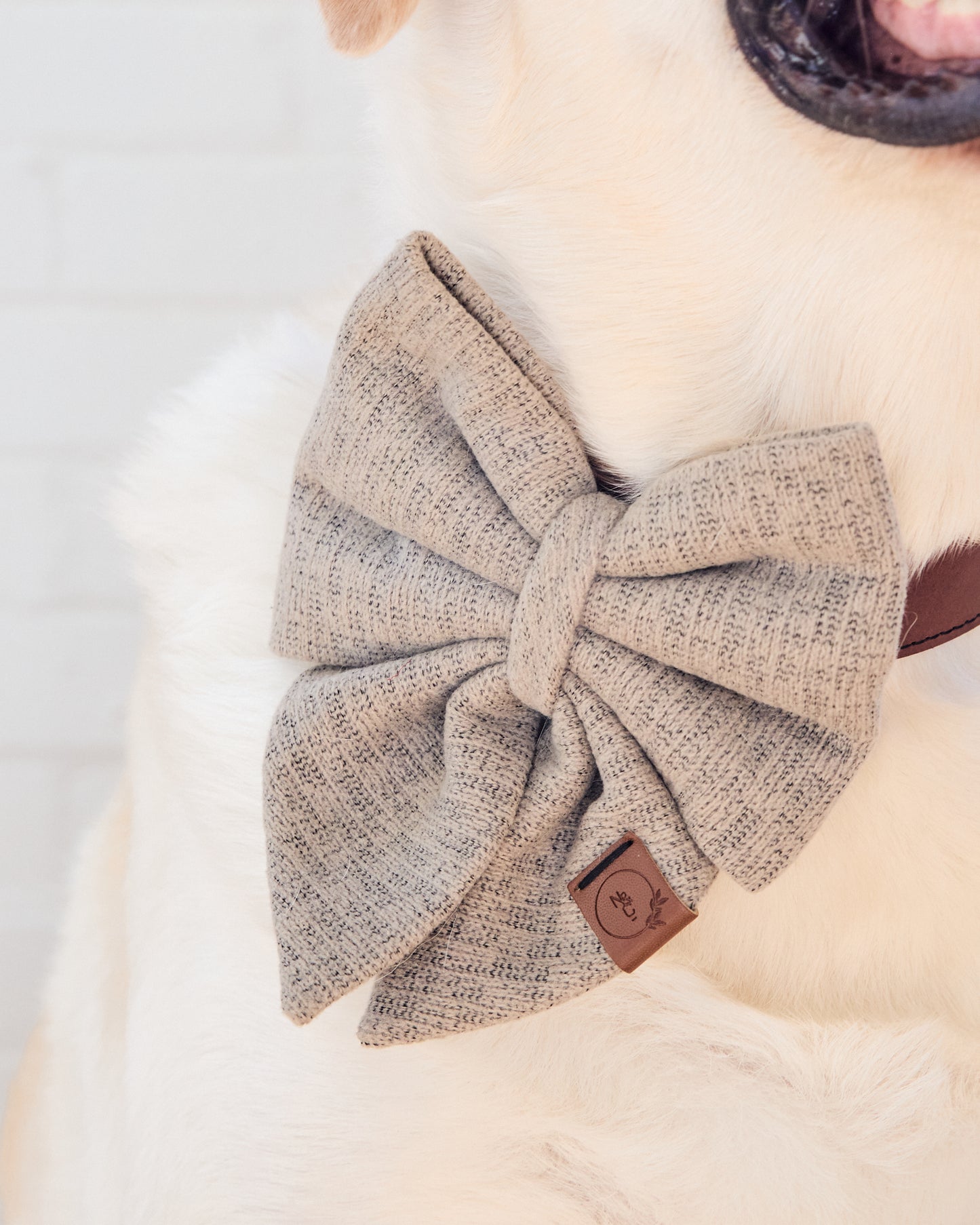 Cozy Haze Dog Bow