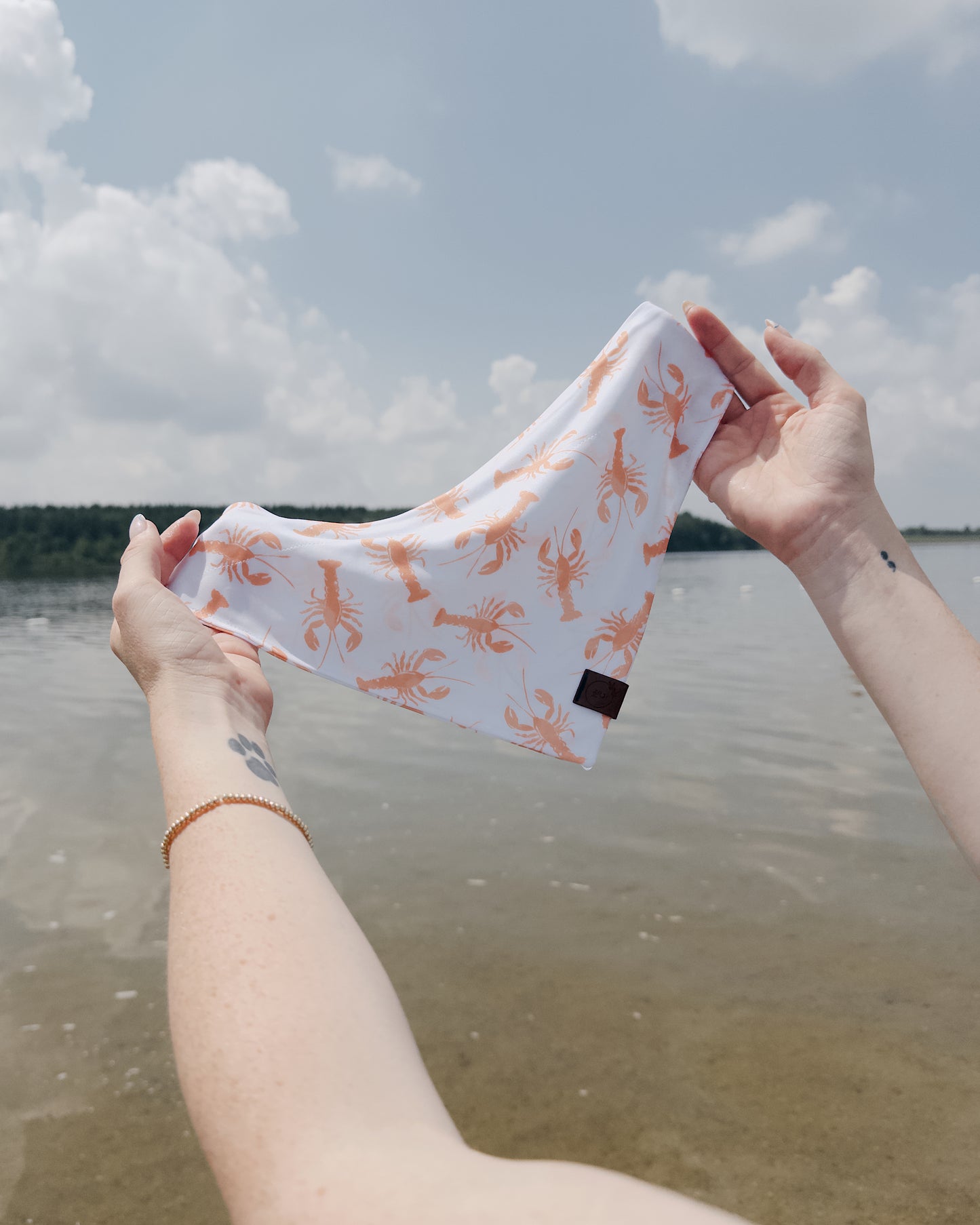 Lobster Linguine Dog Bandana