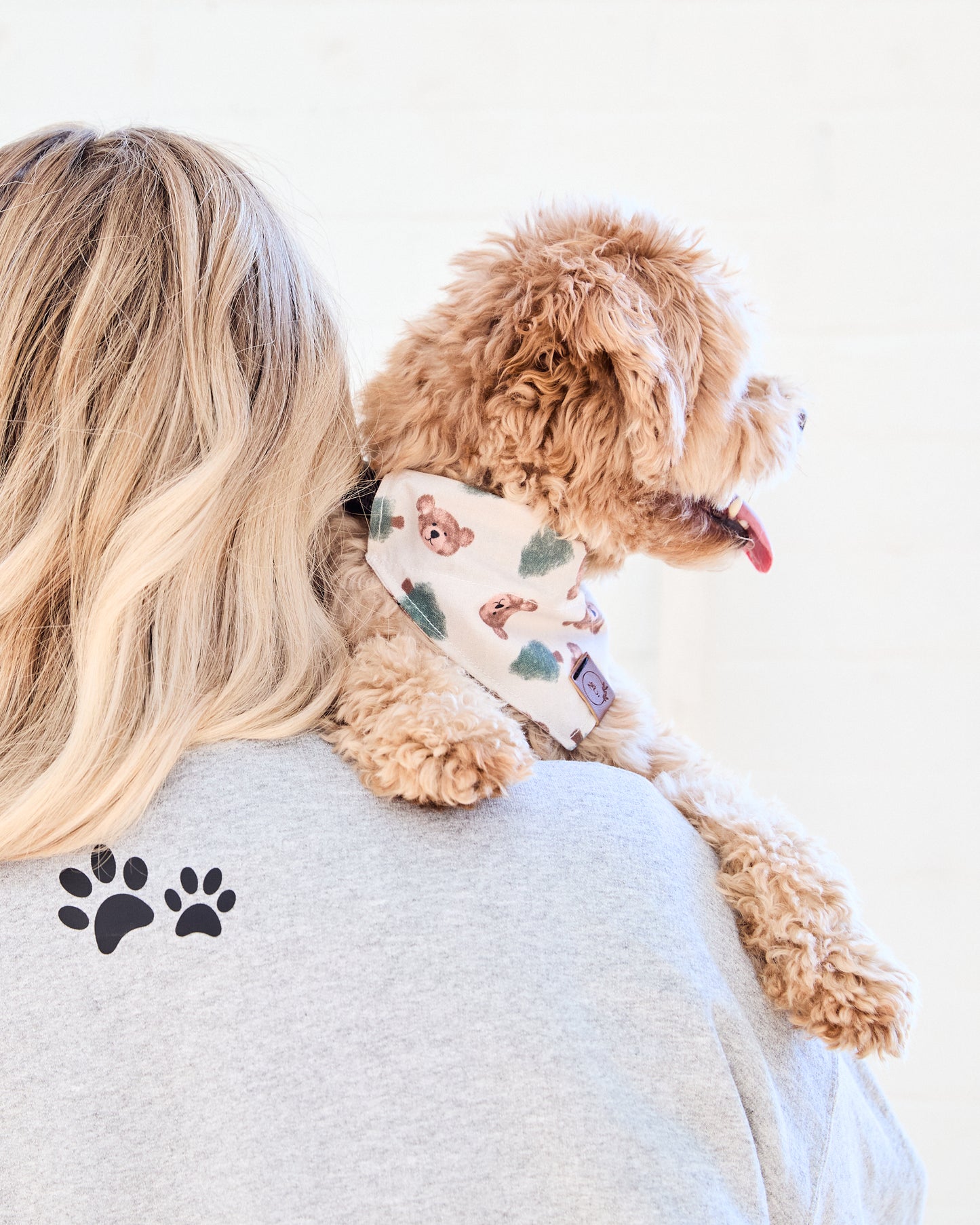 Bear-y Merry Dog Bandana