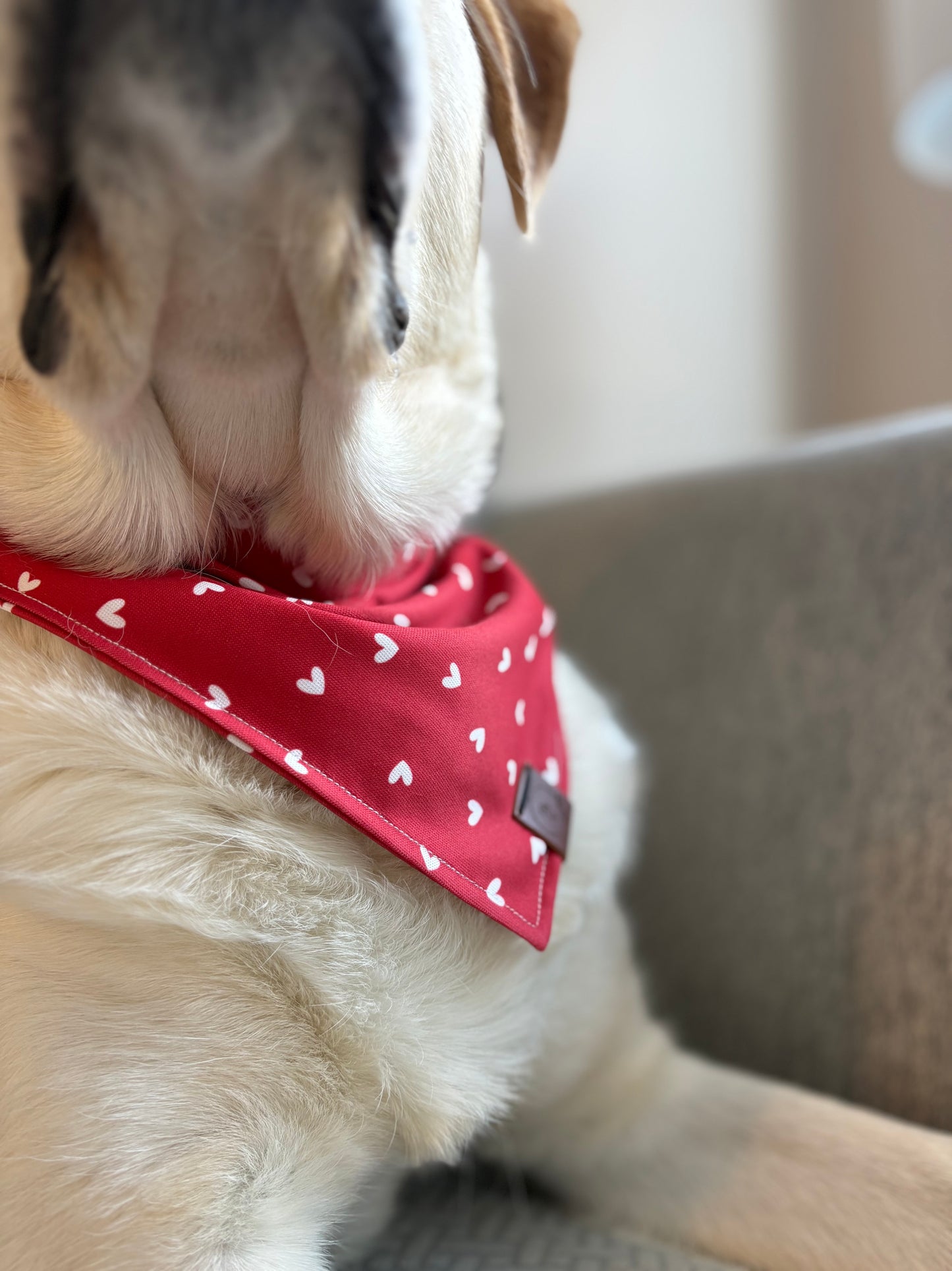 Lovebug Bandana