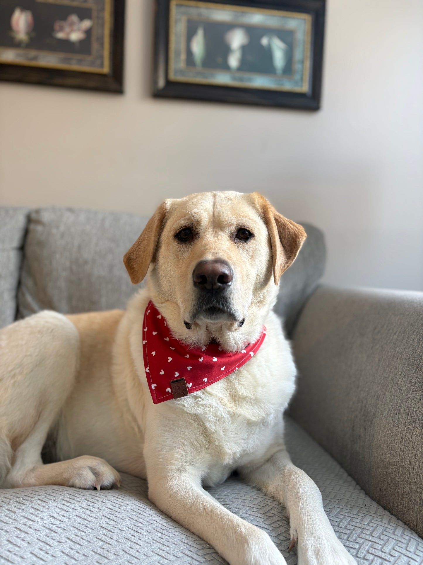 Lovebug Bandana