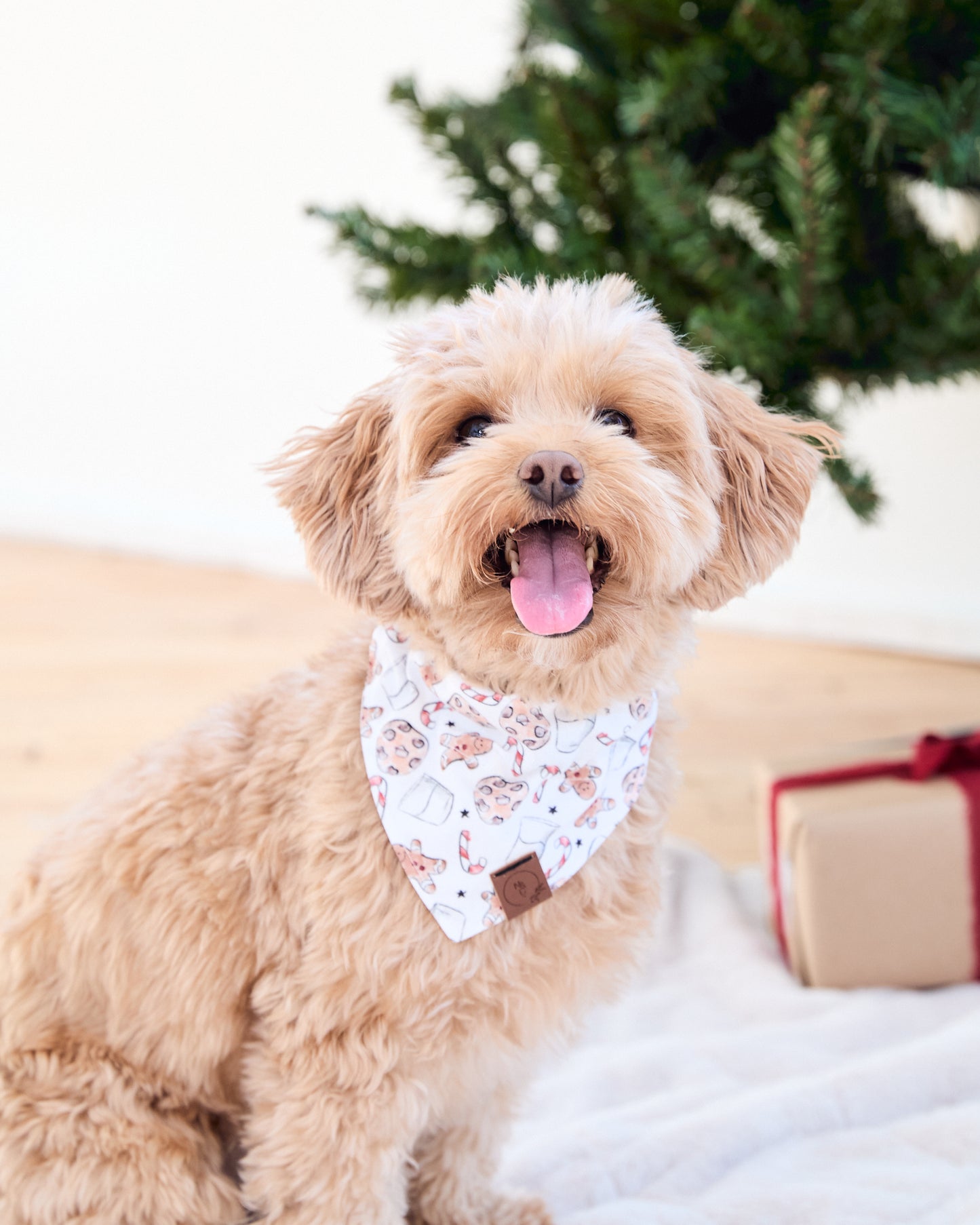 Milk & Cookies Dog Bandana