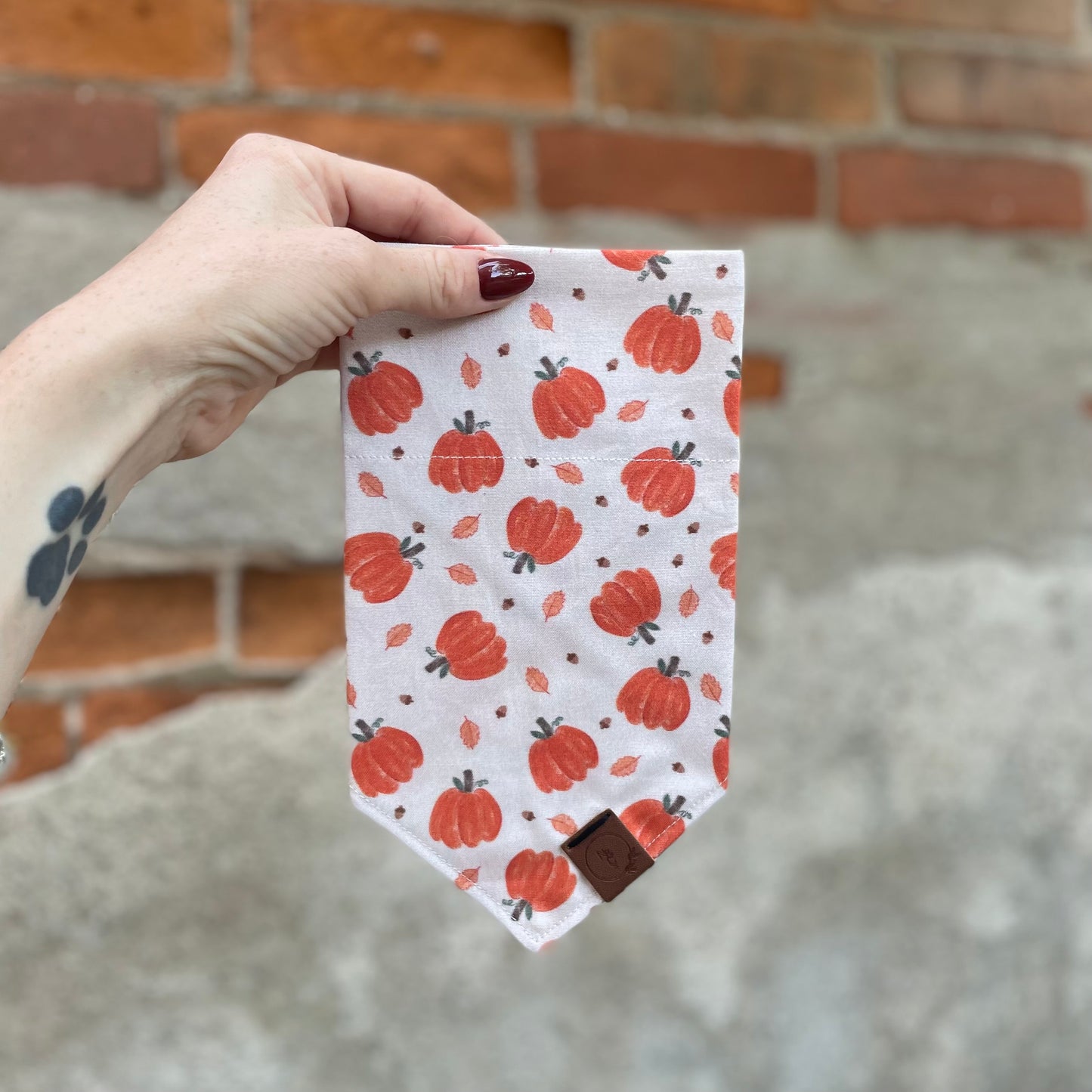 Pumpkin Patch Dog Bandana