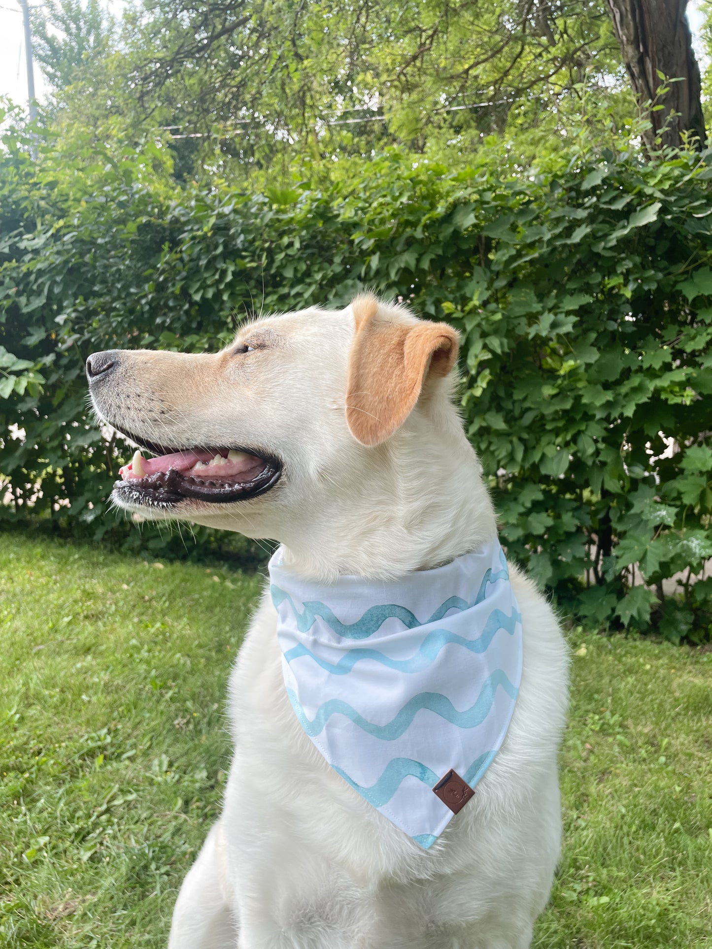 Ocean Waves Dog Bandana