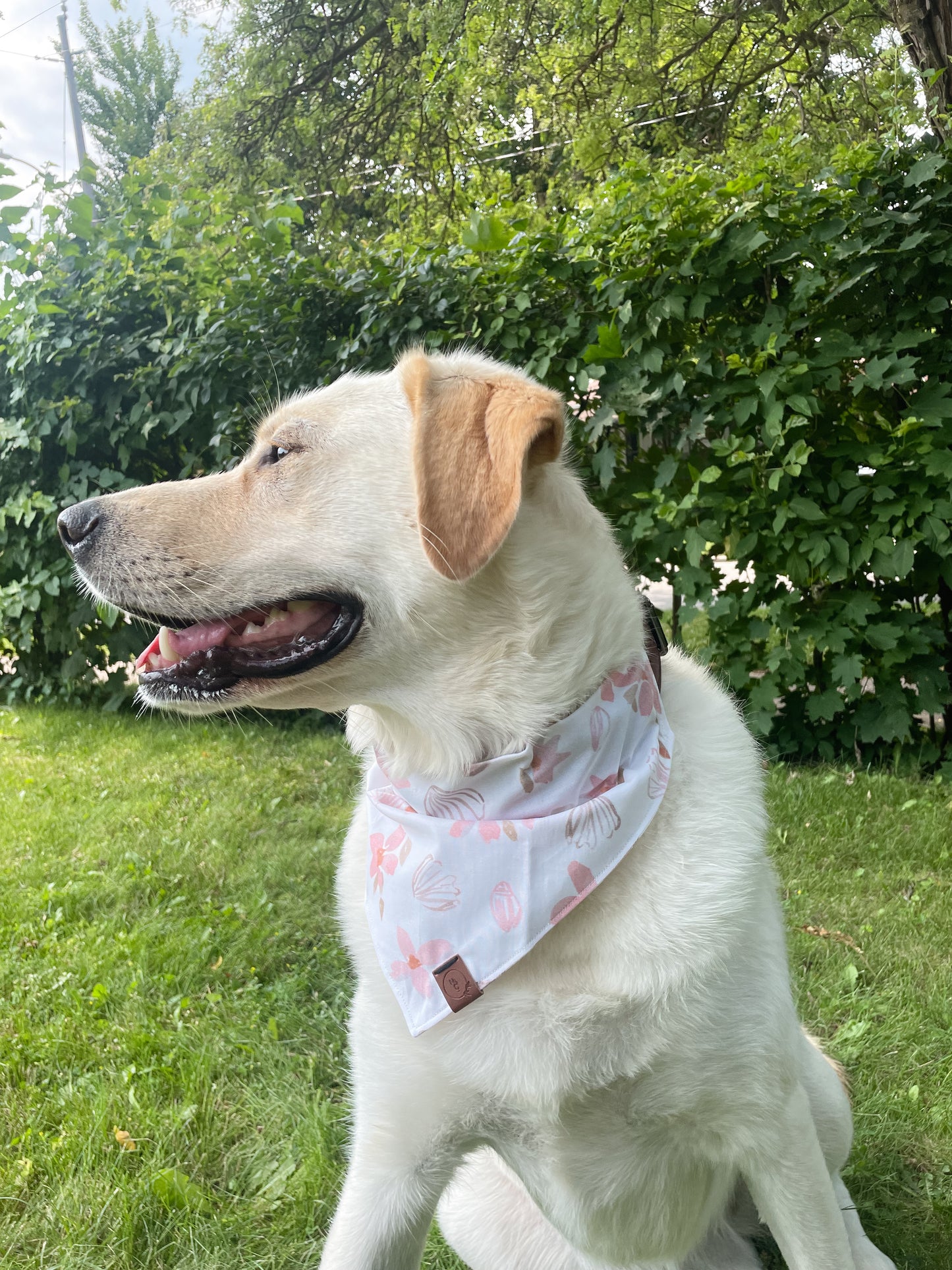 Coastal Blush Dog Bandana