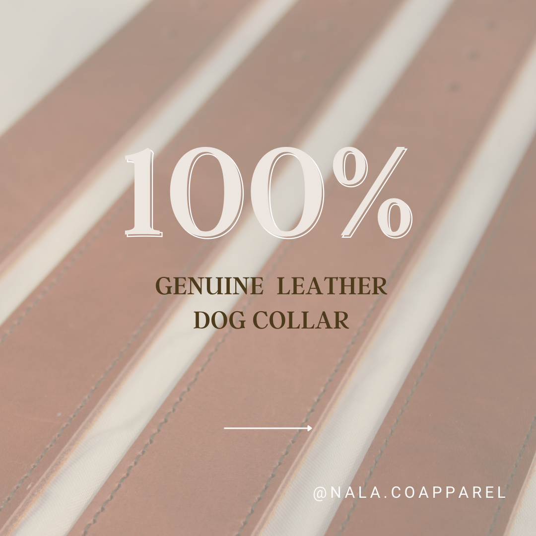 Leather Dog Collar