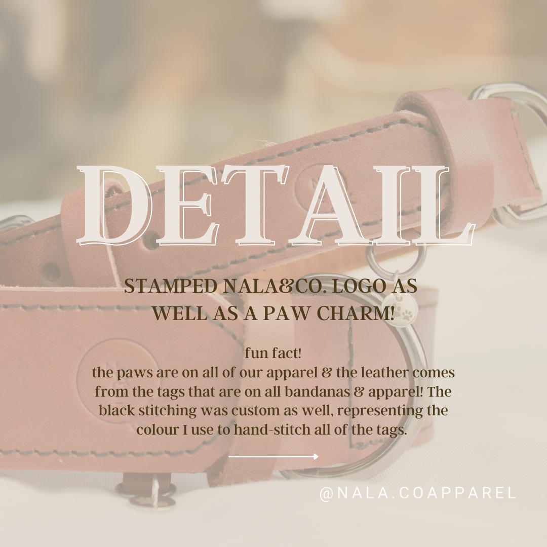 Leather Dog Collar