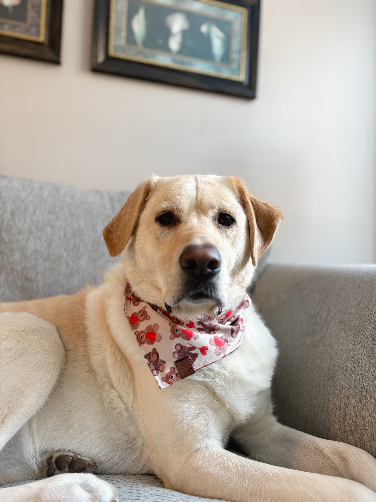 Teddies Love Bandana