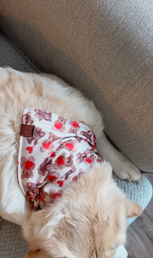 Teddies Love Bandana