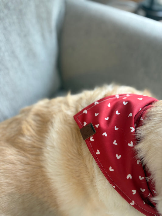 Lovebug Bandana