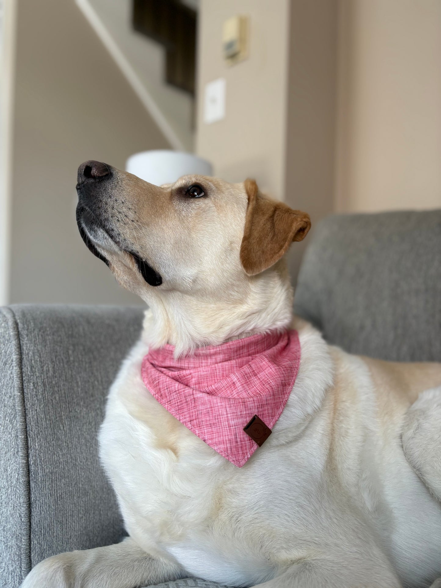 Heather Rose Bandana