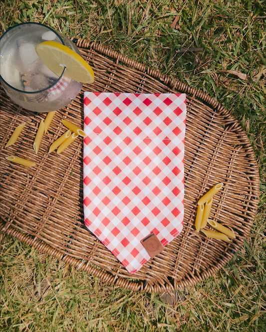 Mangia! Dog Bandana
