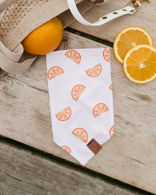 Aperol Dog Bandana
