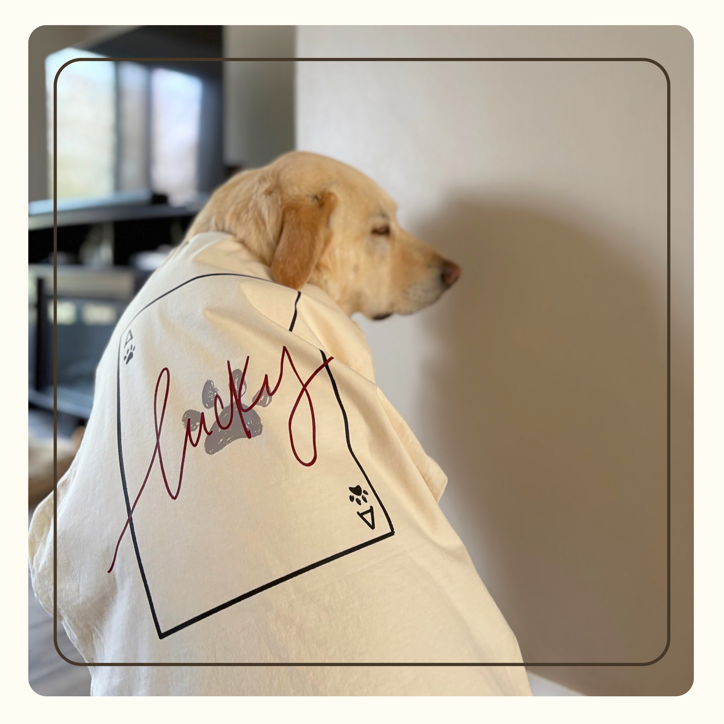 Lucky Paws T-Shirt