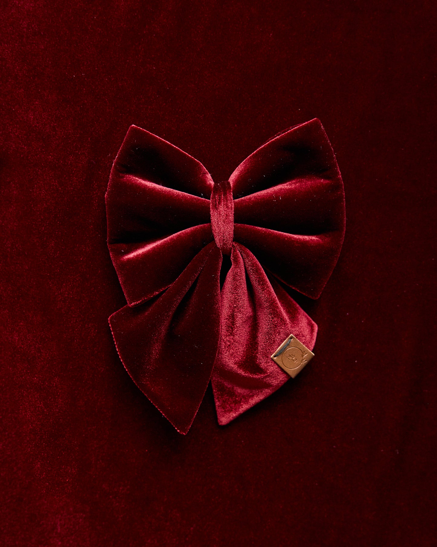 Red Velvet Dog Bow
