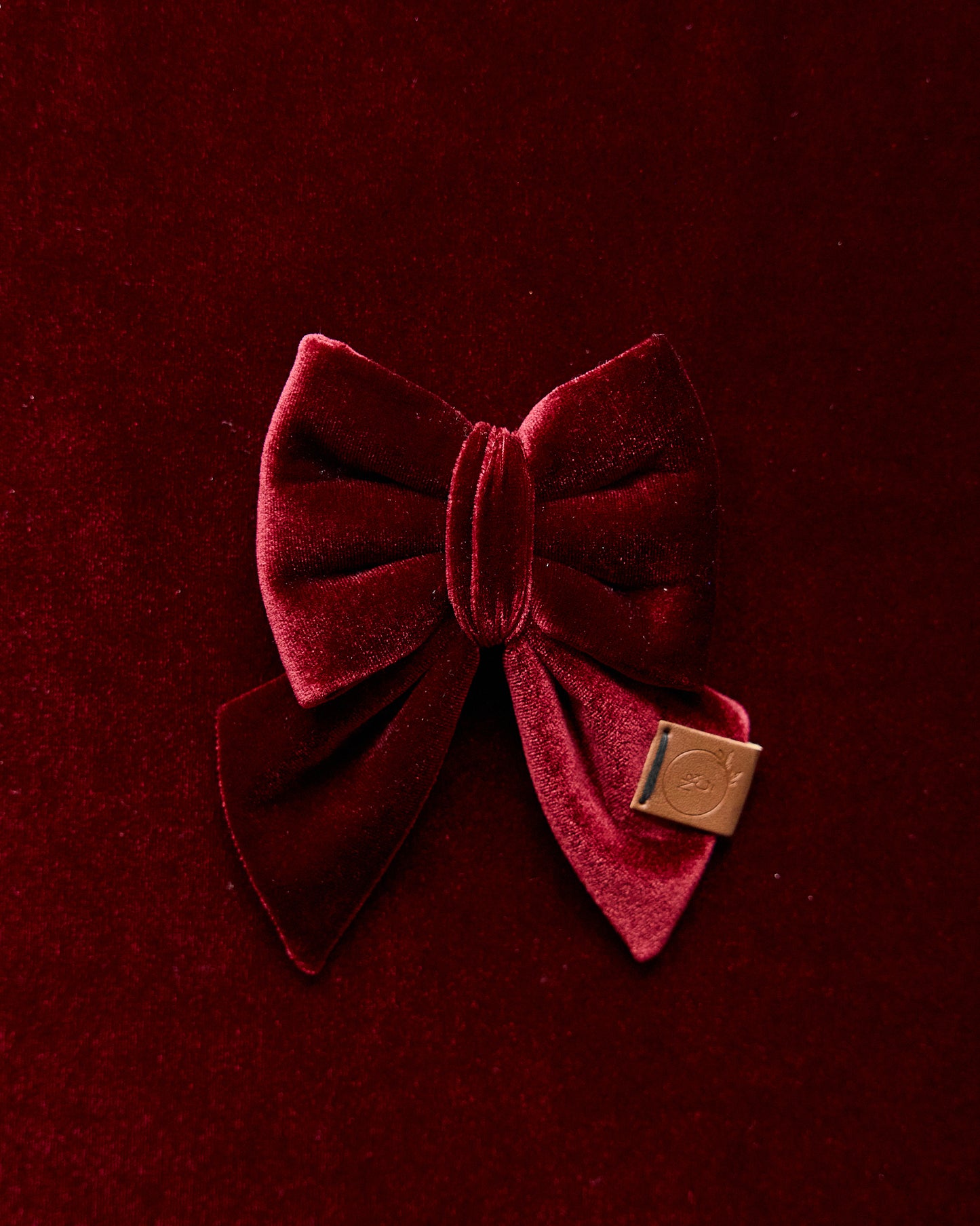 Red Velvet Dog Bow