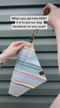 Load and play video in Gallery viewer, Cozy Flannel Dog Bandana
