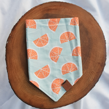 Load image into Gallery viewer, Grapefruit Dog Bandana
